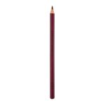 Mua Intense Colour Lip Liner Survivor 1.5g